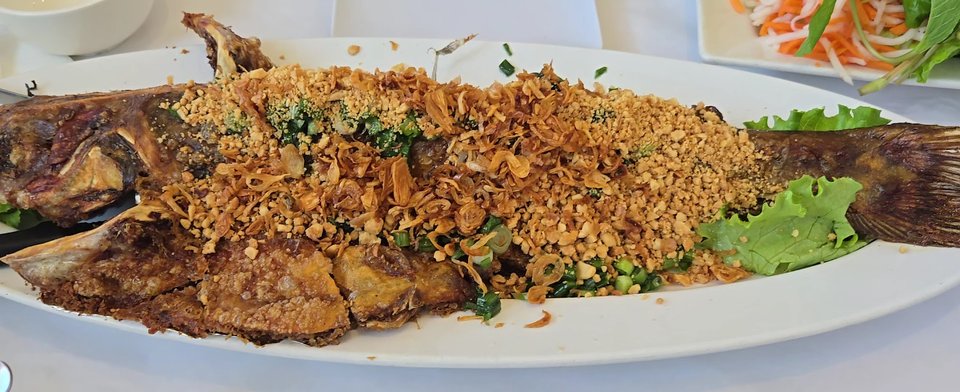 Colorful plates of seafood and herbs.