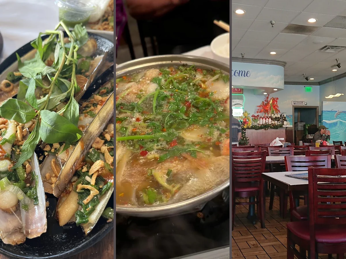 Colorful plates of seafood and herbs.
